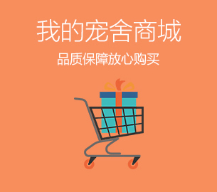 案例：寵舍網(wǎng)建設(shè)優(yōu)化